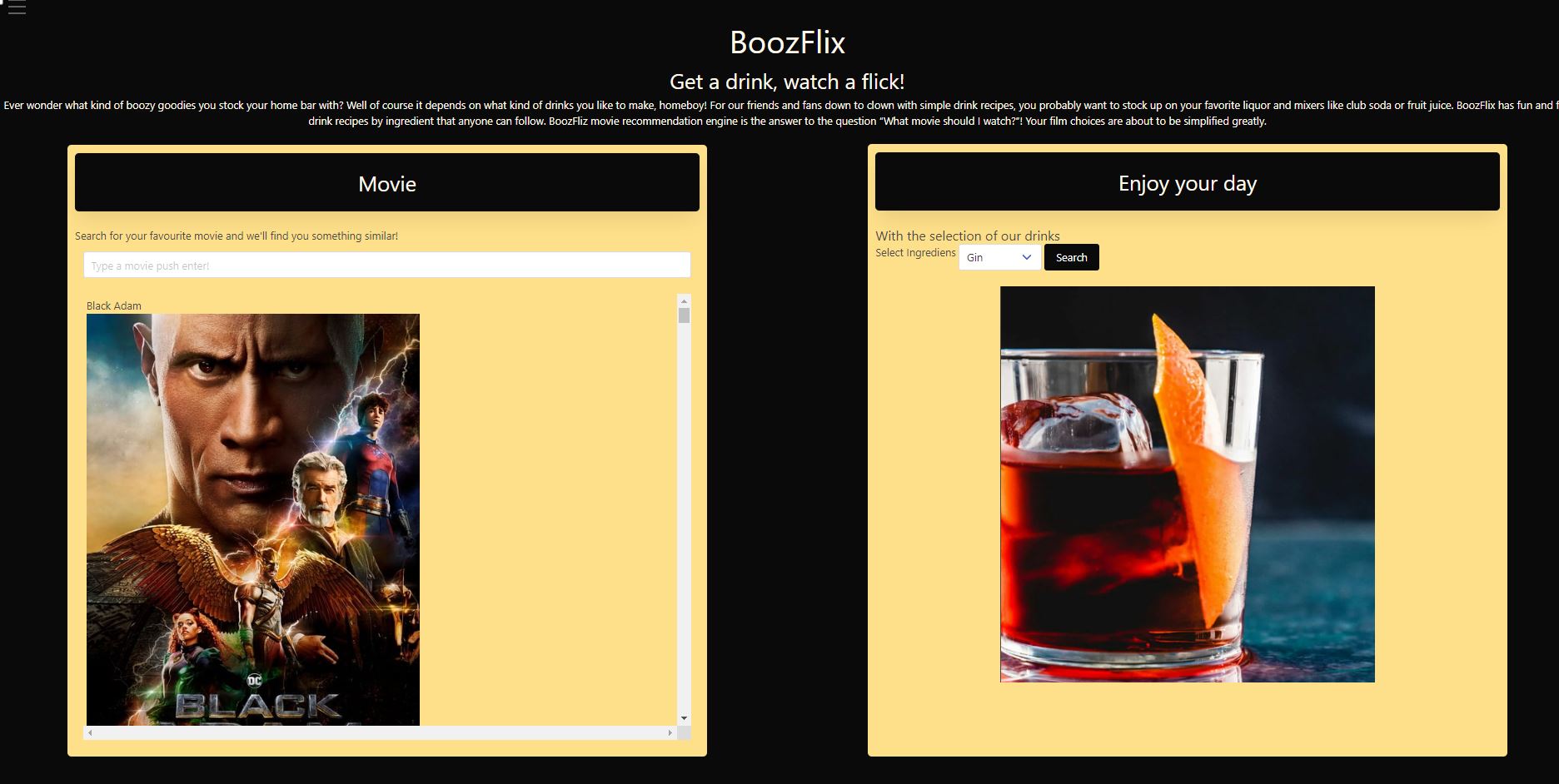 Picture of Boozfliz Application